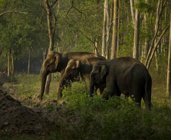 Madhya Pradesh